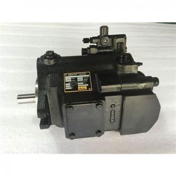 PAKER YB1-100 Piston Pump