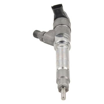 BOSCH 0445110002 injector