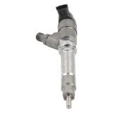 BOSCH 0445110066 injector